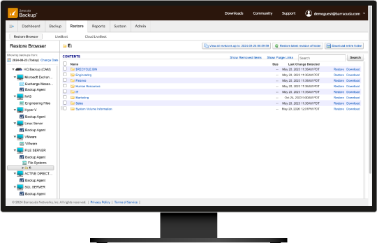 Capture d’écran de la fonctionnalité de restauration de Barracuda Backup